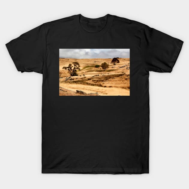 Australian Open Country Landscape T-Shirt by jwwallace